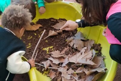 Agrandir l'image 7 sur 25, fenêtre modale