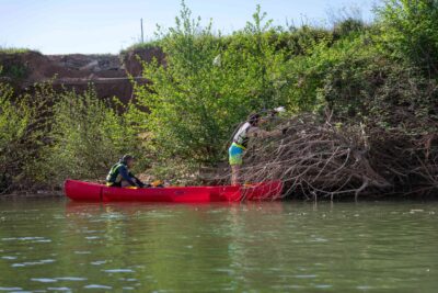 Agrandir l'image 11 sur 12, fenêtre modale