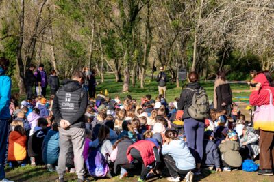 Agrandir l'image 14 sur 14, fenêtre modale