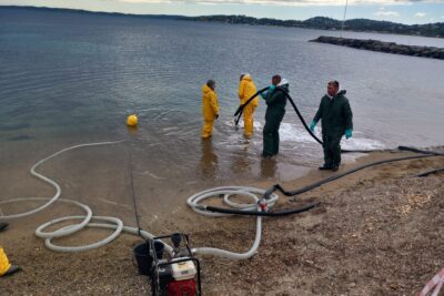 Agrandir l'image 12 sur 13, fenêtre modale