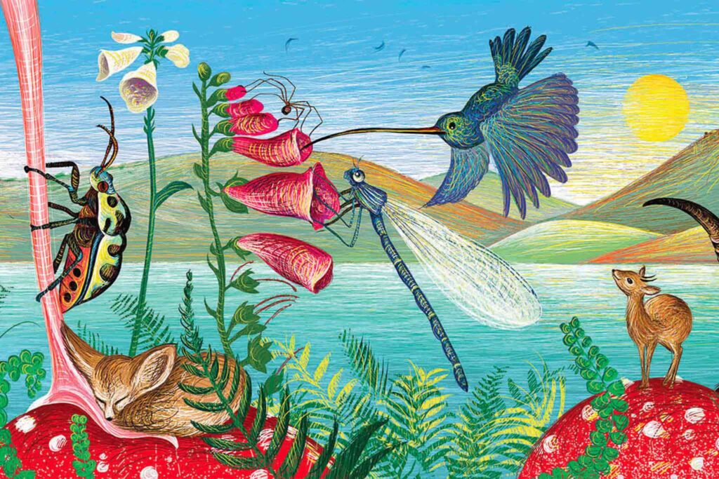 Agrandir l'image, fenêtre modale