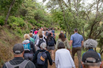 Agrandir l'image 10 sur 16, fenêtre modale