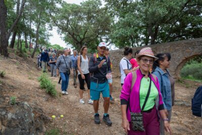 Agrandir l'image 13 sur 16, fenêtre modale