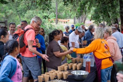 Agrandir l'image 14 sur 16, fenêtre modale