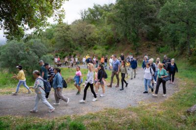 Agrandir l'image 6 sur 16, fenêtre modale