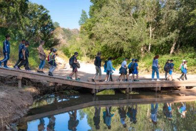 Agrandir l'image 3 sur 8, fenêtre modale