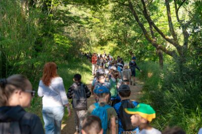 Agrandir l'image 4 sur 8, fenêtre modale