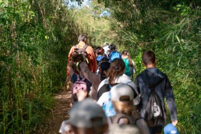 Agrandir l'image 7 sur 8, fenêtre modale