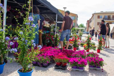 Agrandir l'image 3 sur 6, fenêtre modale
