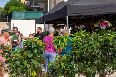 Agrandir l'image 4 sur 6, fenêtre modale