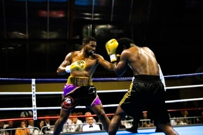 Agrandir l'image 12 sur 13, fenêtre modale