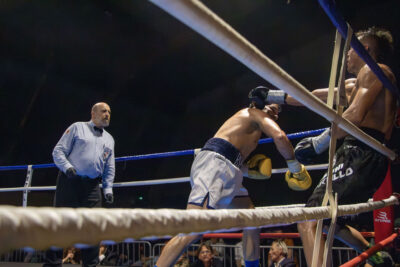 Agrandir l'image 8 sur 13, fenêtre modale