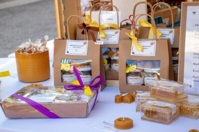 Agrandir l'image 16 sur 17, fenêtre modale