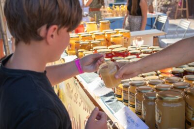 Agrandir l'image 3 sur 17, fenêtre modale