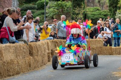 Agrandir l'image 10 sur 29, fenêtre modale