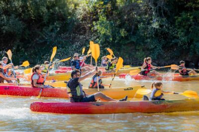 Agrandir l'image 2 sur 17, fenêtre modale