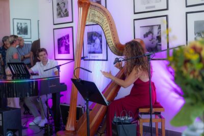 Agrandir l'image 3 sur 15, fenêtre modale