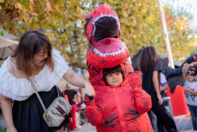 Agrandir l'image 3 sur 22, fenêtre modale