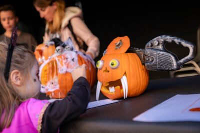 Agrandir l'image 6 sur 22, fenêtre modale