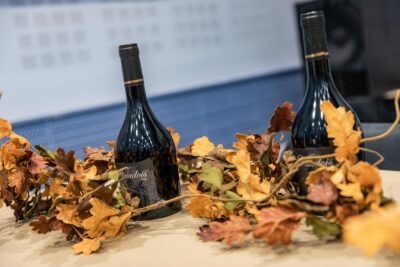 Agrandir l'image 16 sur 18, fenêtre modale