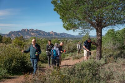 Agrandir l'image 1 sur 8, fenêtre modale