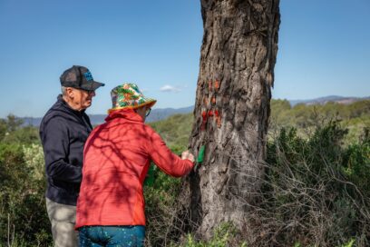 Agrandir l'image, fenêtre modale