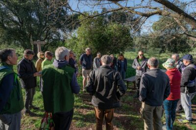 Agrandir l'image 6 sur 8, fenêtre modale