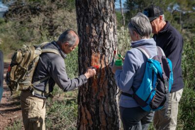 Agrandir l'image 5 sur 8, fenêtre modale