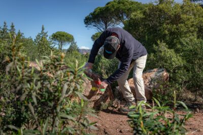 Agrandir l'image 4 sur 8, fenêtre modale
