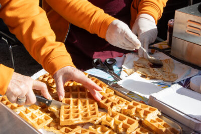 Agrandir l'image 18 sur 35, fenêtre modale