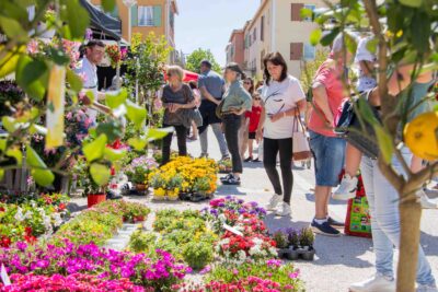 Agrandir l'image 1 sur 28, fenêtre modale