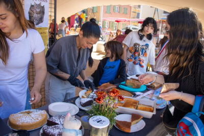 Agrandir l'image 23 sur 28, fenêtre modale