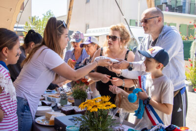 Agrandir l'image 15 sur 28, fenêtre modale