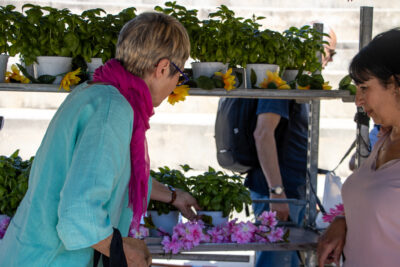 Agrandir l'image 25 sur 28, fenêtre modale