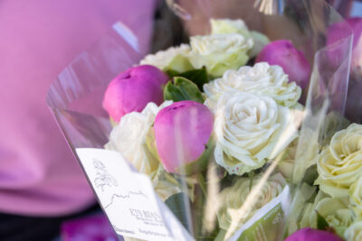 Agrandir l'image 13 sur 28, fenêtre modale