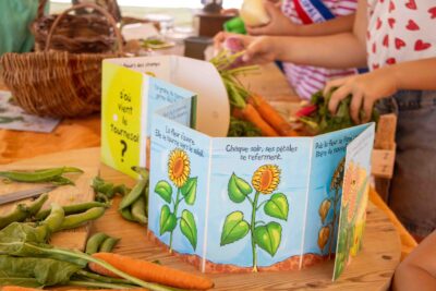 Agrandir l'image 9 sur 28, fenêtre modale