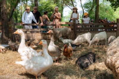 Agrandir l'image 1 sur 24, fenêtre modale