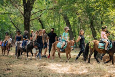 Agrandir l'image 3 sur 24, fenêtre modale