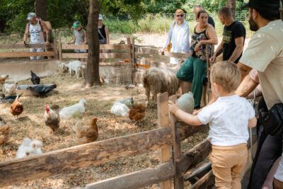 Agrandir l'image 8 sur 24, fenêtre modale