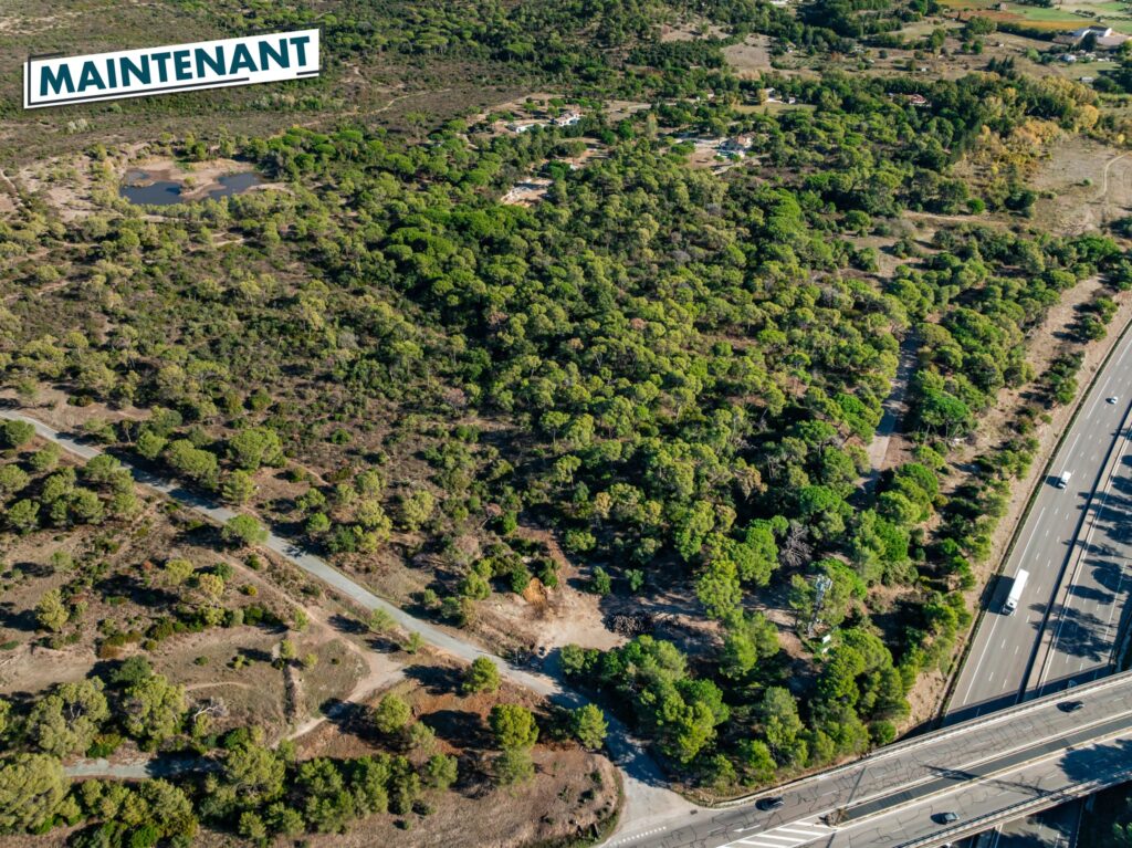 Agrandir l'image, fenêtre modale