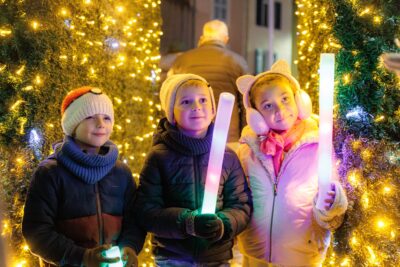 Agrandir l'image 14 sur 15, fenêtre modale